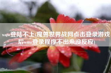 wow登陆不上(魔兽世界战网点击登录游戏后wow登录程序不出来没反应)