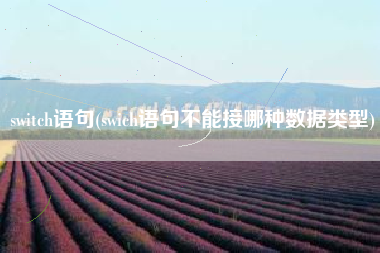 switch语句(swich语句不能接哪种数据类型)