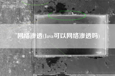 网络渗透(Java可以网络渗透吗)