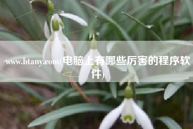 www.btany.com(电脑上有哪些厉害的程序软件)