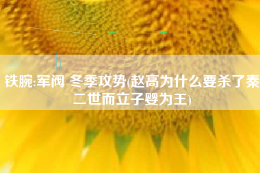 详细阅读:铁腕:军阀 冬季攻势(赵高为什么要杀了秦二世而立子婴为王) 铁腕:军阀 冬季攻势(赵高为什么要杀了秦二世而立子婴为王)