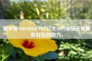 俄罗斯VODAFONEWIFI巨大APP(埃及还有哪些好玩的地方)