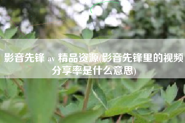 影音先锋 av 精品资源(影音先锋里的视频分享率是什么意思)