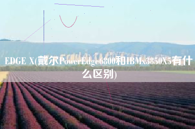 EDGE X(戴尔PowerEdge6800和IBMx3850X5有什么区别)
