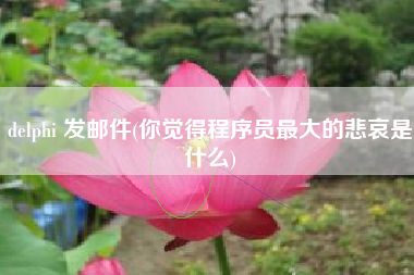 delphi 发邮件(你觉得程序员最大的悲哀是什么)