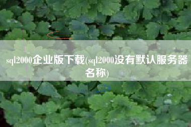 sql2000企业版下载(sql2000没有默认服务器名称)