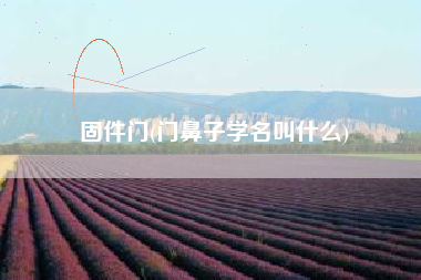 固件门(门鼻子学名叫什么)
