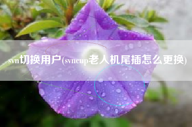 svn切换用户(svncup老人机尾插怎么更换)