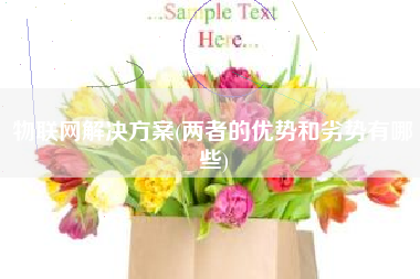 物联网解决方案(两者的优势和劣势有哪些)