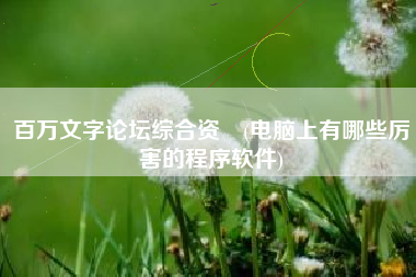 百万文字论坛综合资枓(电脑上有哪些厉害的程序软件)
