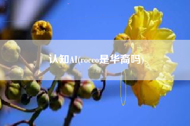 认知AI(rocco是华裔吗)