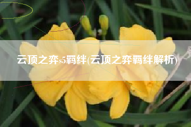 详细阅读:云顶之弈s5羁绊(云顶之弈羁绊解析) 云顶之弈s5羁绊(云顶之弈羁绊解析)