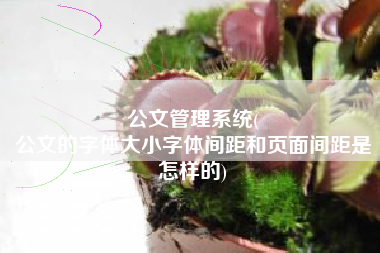 公文管理系统(
公文的字体大小字体间距和页面间距是怎样的) 公文管理系统(
公文的字体大小字体间距和页面间距是怎样的)