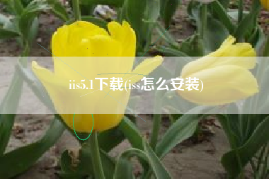 iis5.1下载(iss怎么安装)