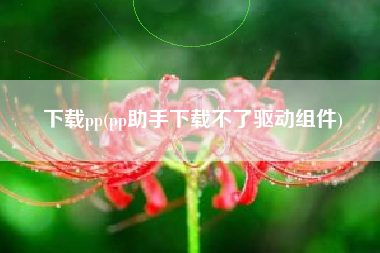 下载pp(pp助手下载不了驱动组件)
