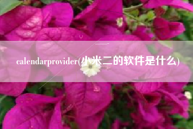 calendarprovider(小米二的软件是什么)