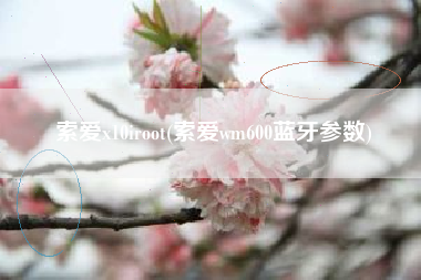 索爱x10iroot(索爱wm600蓝牙参数)