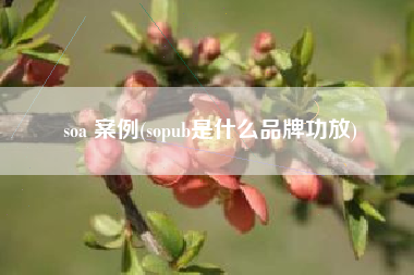 soa 案例(sopub是什么品牌功放)