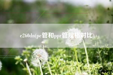 详细阅读:e260dn(pe管和ppr管规格对比) e260dn(pe管和ppr管规格对比)