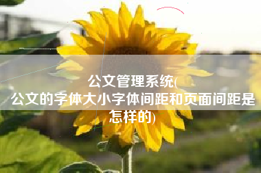 公文管理系统(
公文的字体大小字体间距和页面间距是怎样的) 公文管理系统(
公文的字体大小字体间距和页面间距是怎样的)