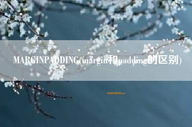 MARGINPADDING(margin和padding的区别)