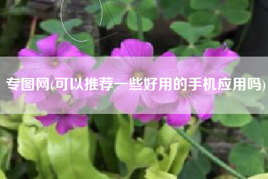 专图网(可以推荐一些好用的手机应用吗)