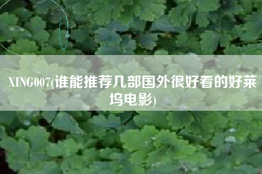 XING007(谁能推荐几部国外很好看的好莱坞电影)