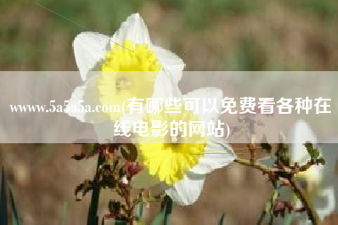 wwww.5a5a5a.com(有哪些可以免费看各种在线电影的网站) - 精英怪