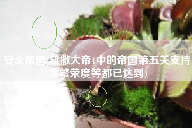 安全帝国(凯撒大帝4中的帝国第五关支持度繁荣度等都已达到)