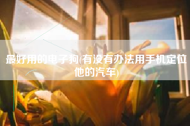 最好用的电子狗(有没有办法用手机定位他的汽车)