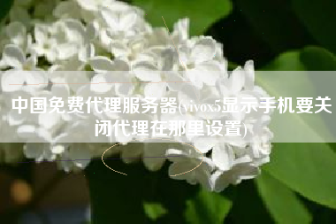 中国免费代理服务器(vivox5显示手机要关闭代理在那里设置)