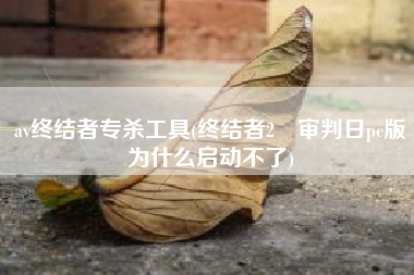 av终结者专杀工具(终结者2 审判日pc版为什么启动不了)