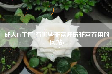成人bt工厂(有哪些非常好玩非常有用的网站)