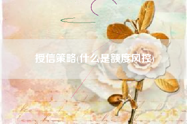 详细阅读:授信策略(什么是额度风控) 授信策略(什么是额度风控)