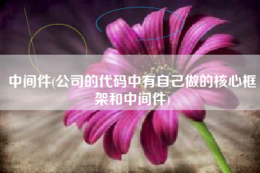 中间件(公司的代码中有自己做的核心框架和中间件)