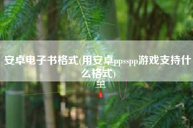 安卓电子书格式(用安卓ppsspp游戏支持什么格式)