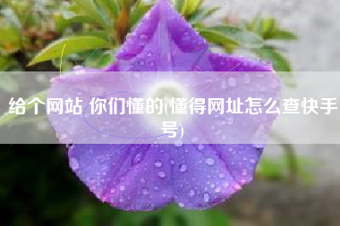 详细阅读:给个网站 你们懂的(懂得网址怎么查快手号) 给个网站 你们懂的(懂得网址怎么查快手号)