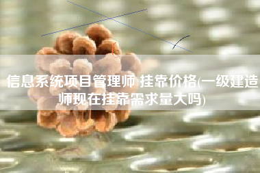信息系统项目管理师 挂靠价格(一级建造师现在挂靠需求量大吗)