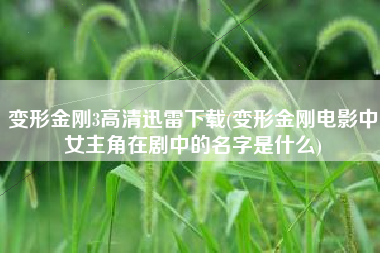 变形金刚3高清迅雷下载(变形金刚电影中女主角在剧中的名字是什么)