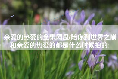 亲爱的热爱的全集网盘(陪你到世界之巅和亲爱的热爱的都是什么时候拍的)