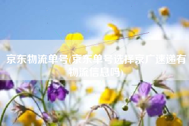 京东物流单号(京东单号选择京广速递有物流信息吗)