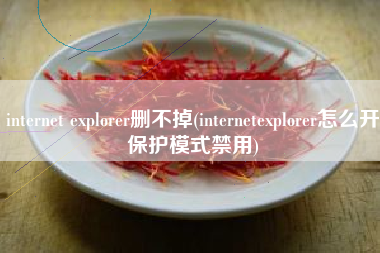 internet explorer删不掉(internetexplorer怎么开保护模式禁用)