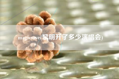 magicsave(黎明开了多少演唱会)