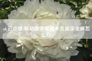 ok云点播(移动数字电视不会显示全屏怎么办)