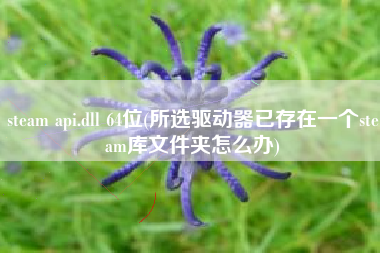 steam api.dll 64位(所选驱动器已存在一个steam库文件夹怎么办)