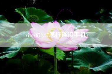 vivoy67(y67怎样连接手机)