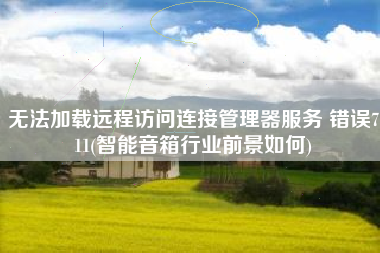 无法加载远程访问连接管理器服务 错误711(智能音箱行业前景如何)