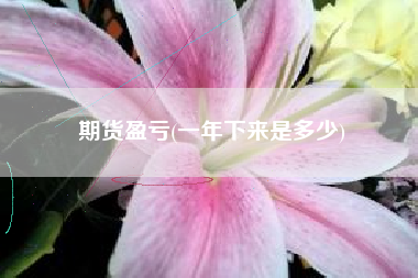 期货盈亏(一年下来是多少)