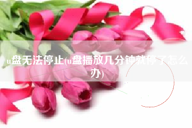 u盘无法停止(u盘播放几分钟就停了怎么办)