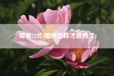 情爱72式(婚姻怎样才能持久)
